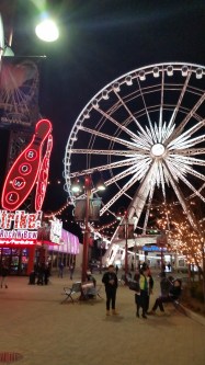 View of the SkyWheel at night