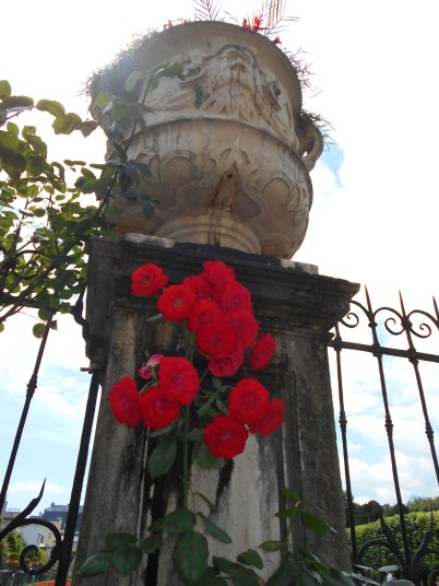 Found these guys in Salzburg