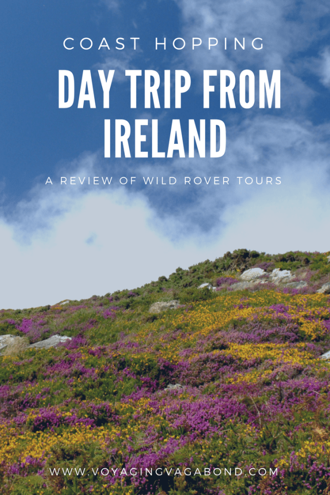 WildRoverBanner3 (1)