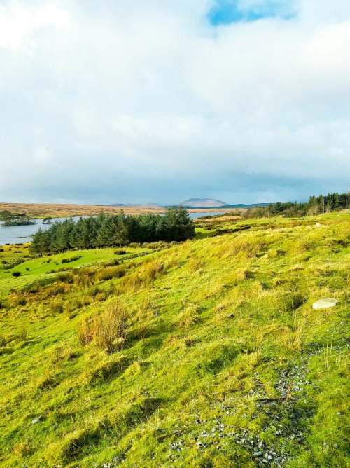 28810977_10216167014032917_1987949342_o