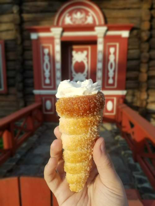 33691176_10216861488914355_6103034522004094976_n