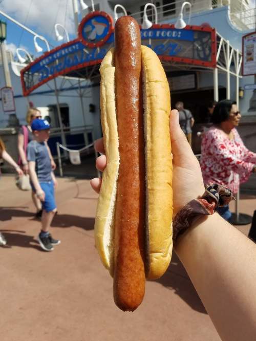 33775333_10216861516435043_4781035281828544512_n