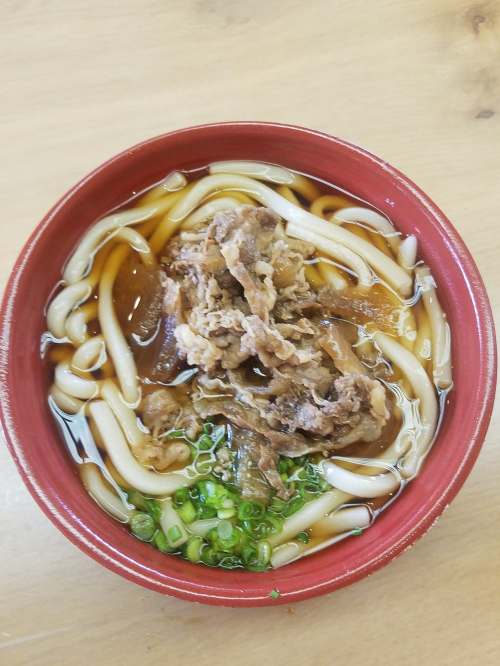 33813098_10216861489274364_3353253642852368384_n