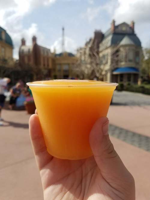 33813985_10216861489154361_2471560113261903872_n