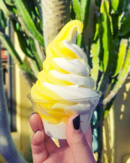 33869322_10216860834617998_5443617893717639168_n