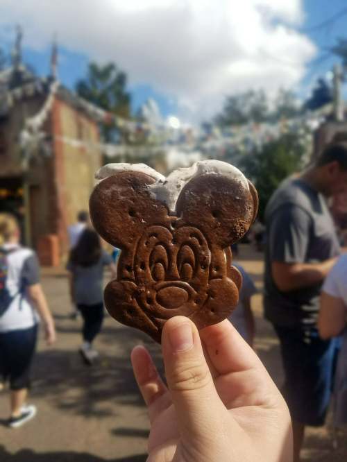 33922666_10216861517795077_8731474547749945344_n