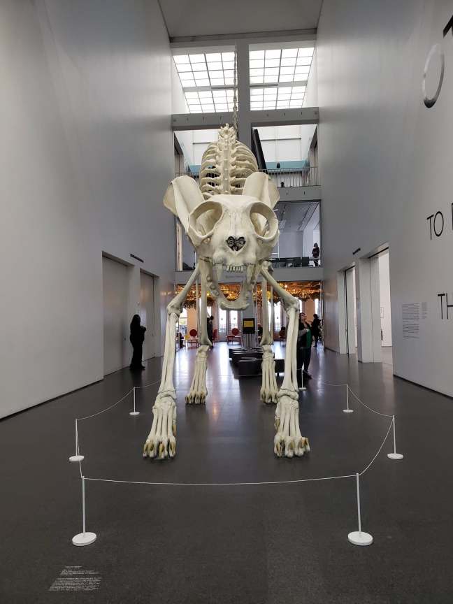 47572254_361339238001207_4222191669329526784_n