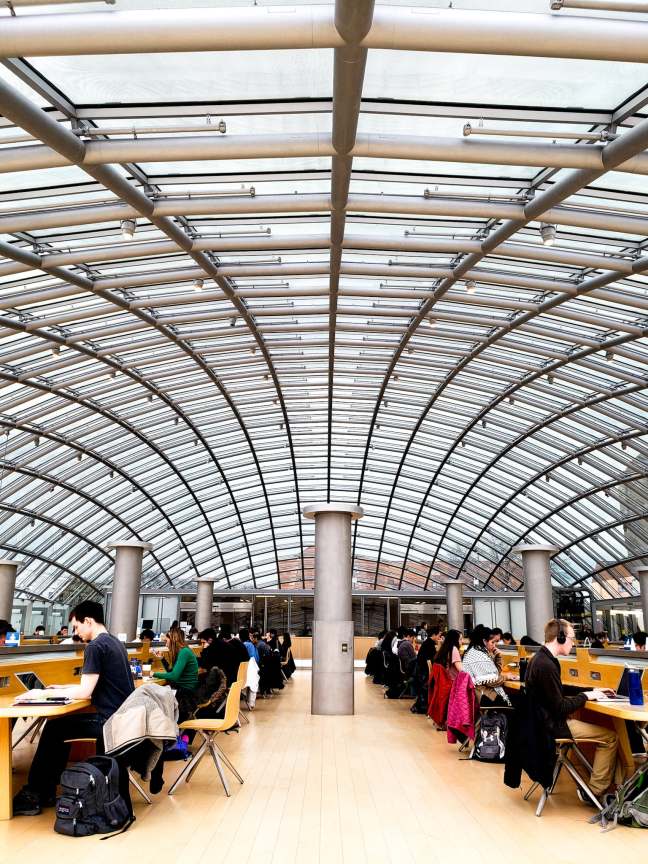 47575585_1511360215675247_6694406696384593920_n