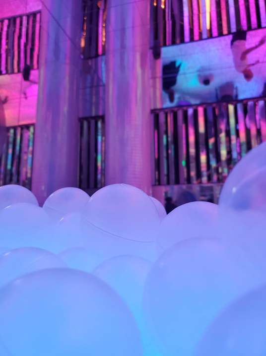 Ballie Ballerson Voyaging Vagabond